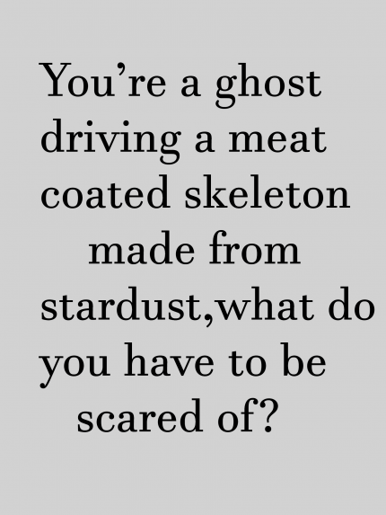 You're a ghost driving a meat-coated skeleton made from stardust