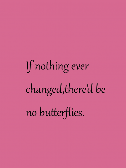 If nothing ever changed, there'd be no butterflies.