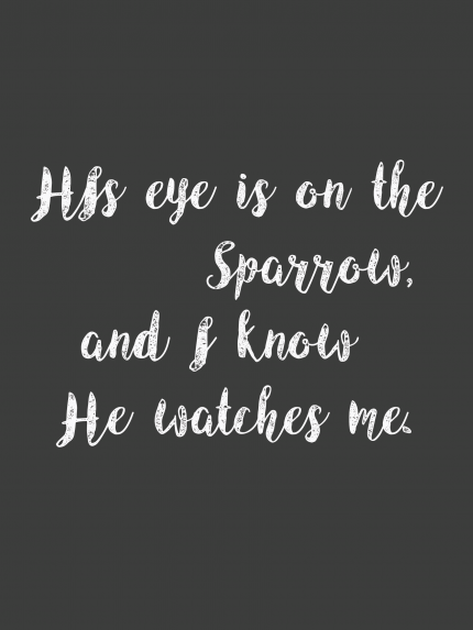 His eye is on the sporrow and i know he watches me