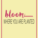 Bloom where you are planted