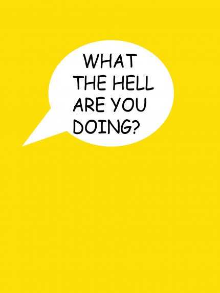 What the hell are you doing?