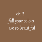 oH.!! fall your colors are so beautiful