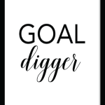Goal digger