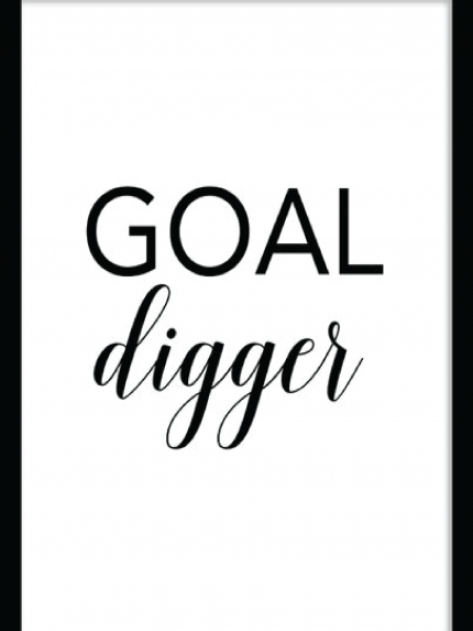 Goal digger