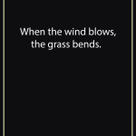 When the wind blows, the grass bends.