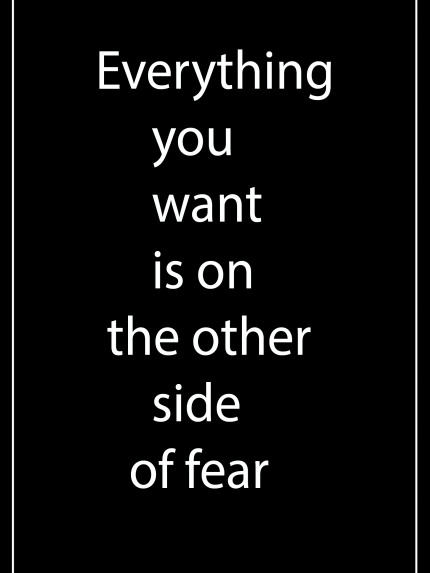 Everything you want is on the other side of fear
