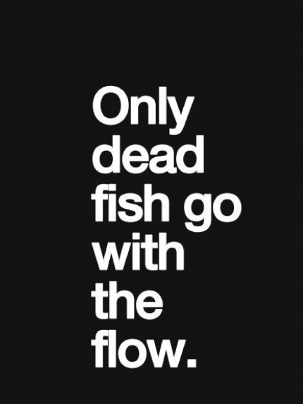 Only dead fish go with the flow