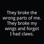 Thay broke the worng parts of me. thay broke my wings and forgot i had claws