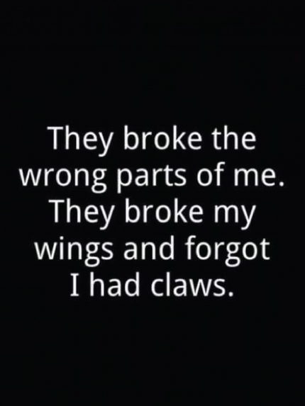 Thay broke the worng parts of me. thay broke my wings and forgot i had claws