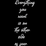 Everything you want is on the other side of fear