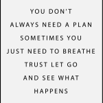 You don't always need a plan sometime you just need to breathe trust let go and see what happens