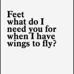 Feet what do i need ypu for when i have wings to fly?