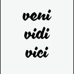 Veni Vidi Vici