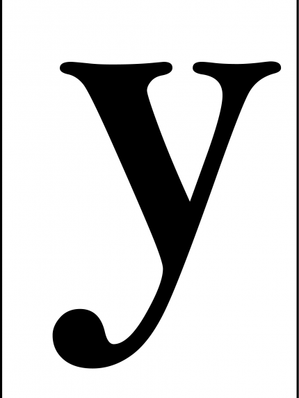 Y