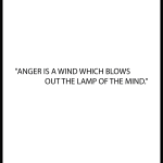 ANGER IS A WIND WHICH BLOWS OUT THE LAMP OF THE MIND.
