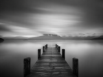 Black _ White Dibond 10 - Image 2