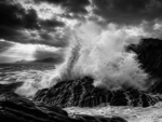 Black _ White Dibond 3 - Image 2