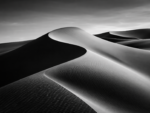 Black _ White Dibond 5 - Image 2