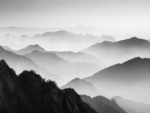 Black _ White Dibond 6 - Image 2