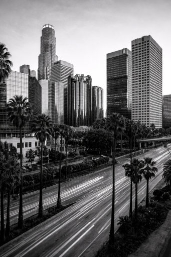 Black and white Los Angeles_1