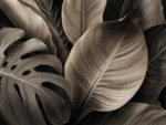 Luxury_Dibond_5 - Image 2