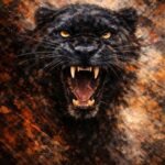 Panther_1