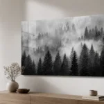 Plexiglass Black _ White 1