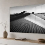 Plexiglass Black _ White 5