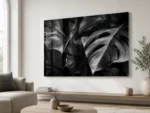 Plexiglass Black _ White 7