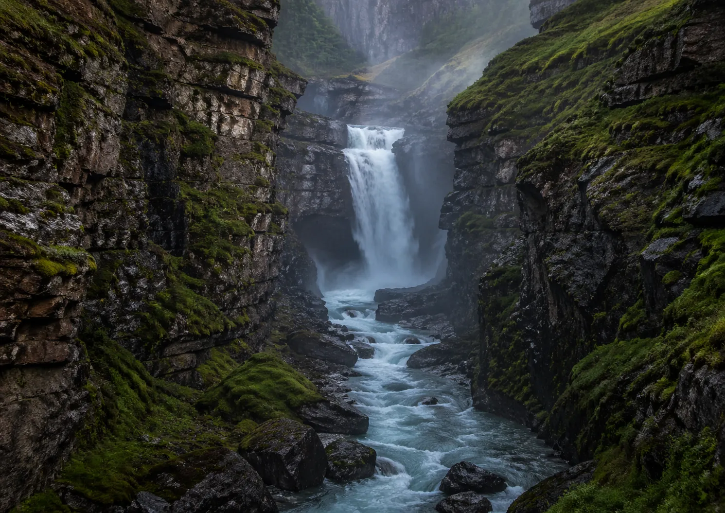 Plexiglass Nature 4