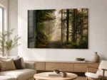 Plexiglass_Photography_3
