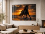 Plexiglass_Photography_6
