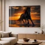 Plexiglass_Photography_6