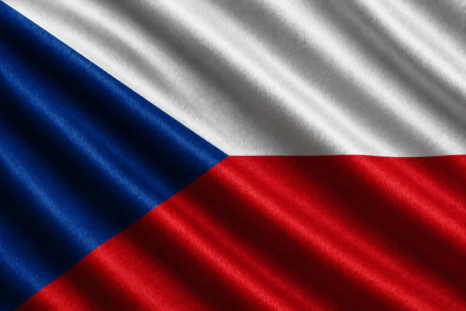 Check_Flag
